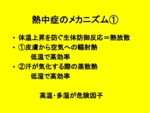 図1
