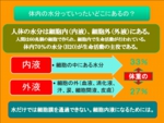 図7